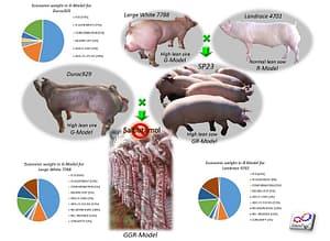 k-13320818_540776082773324_5975553142037602260_o