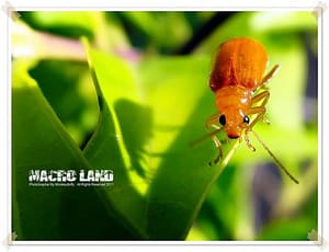 5739615828_401d1f5152